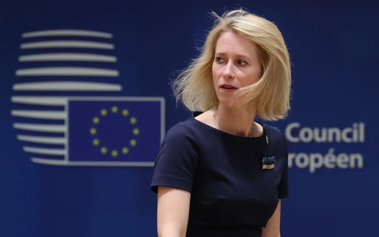 Переговоры Каи Каллас и Реджепа Тайипа Эрдогана: фокус на украинском кризисе