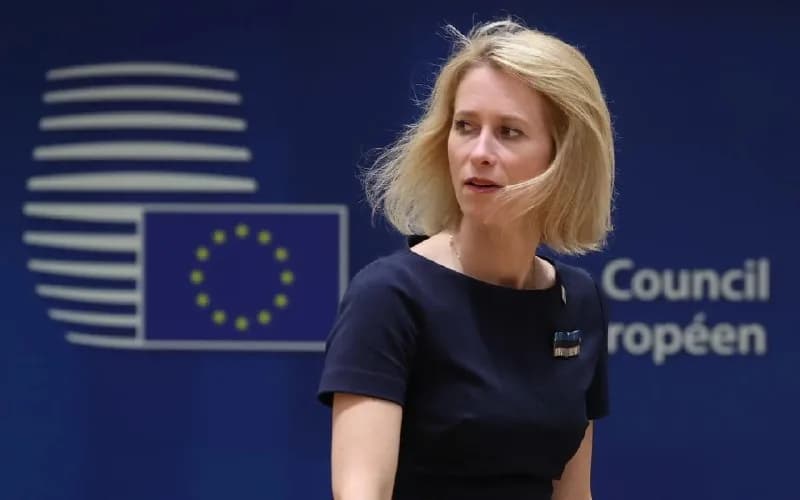 Переговоры Каи Каллас и Реджепа Тайипа Эрдогана: фокус на украинском кризисе