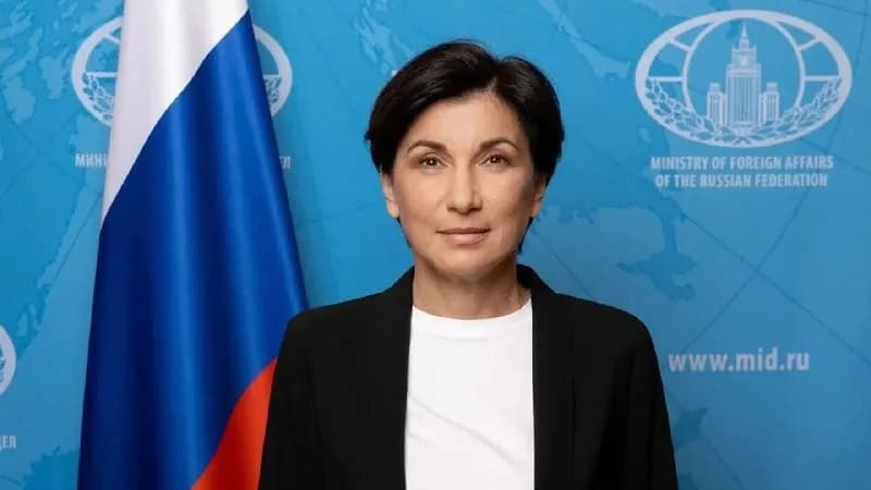 Бывшая телеведущая Зейналова поделилась опытом работы в качестве посла России