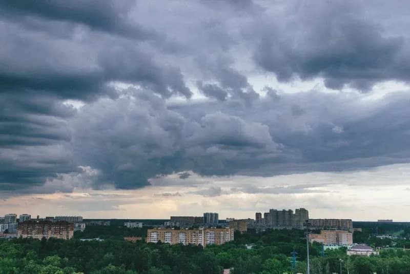 В Москве выпало почти половина месячной нормы осадков